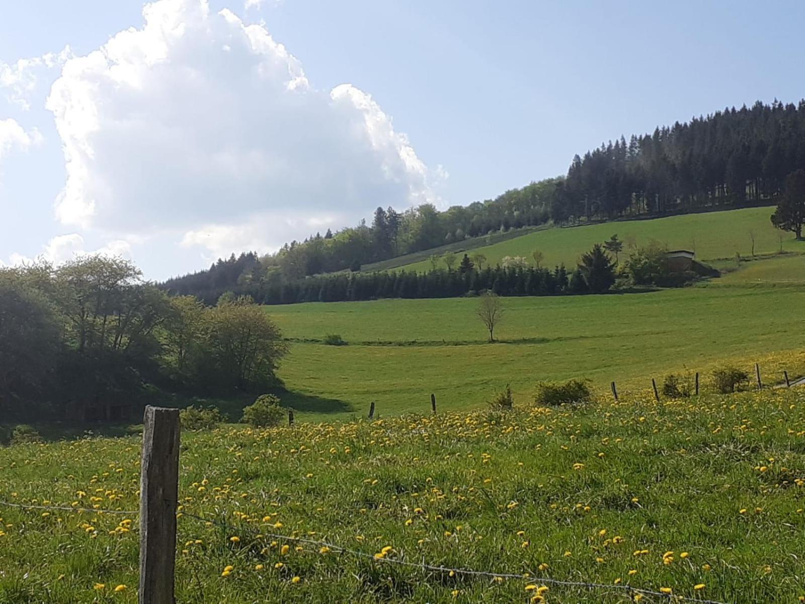 Ferienwohnungen Sternenhimmel Whg 1 Medebach Exterior foto