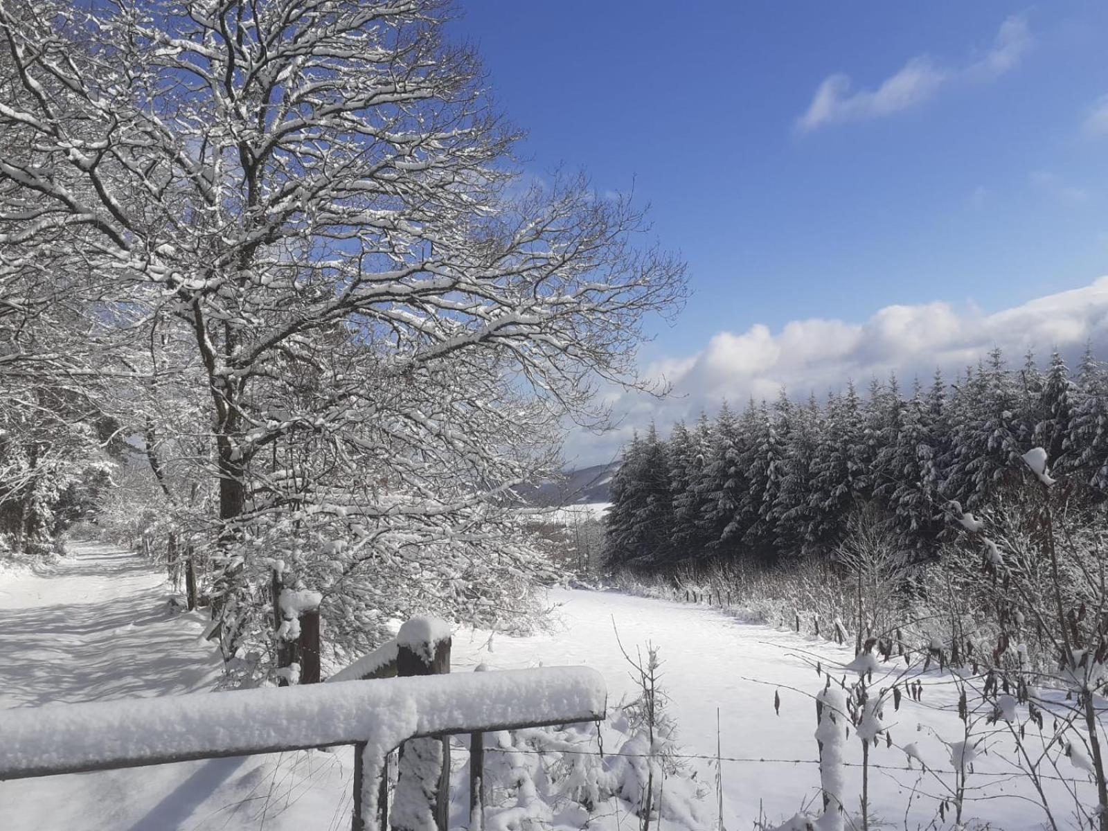 Ferienwohnungen Sternenhimmel Whg 1 Medebach Exterior foto